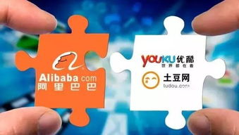 阿里大文娛集團(tuán)楊偉東 優(yōu)酷會(huì)員突破3000萬，推動(dòng)數(shù)字文化創(chuàng)意內(nèi)容服務(wù)發(fā)展